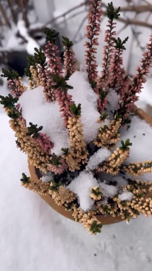 Instagram post from seikreativ.keramik. This post is in position 4.